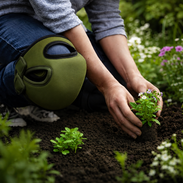 Planting